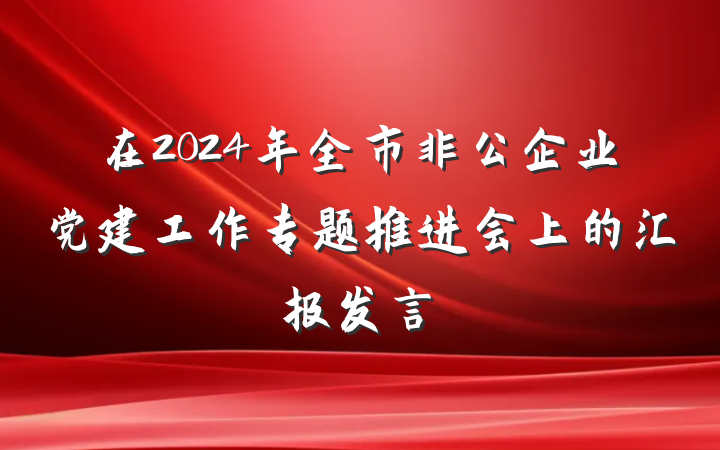 在2024年全市非公企业党建工作专题推进会上的汇报发言
