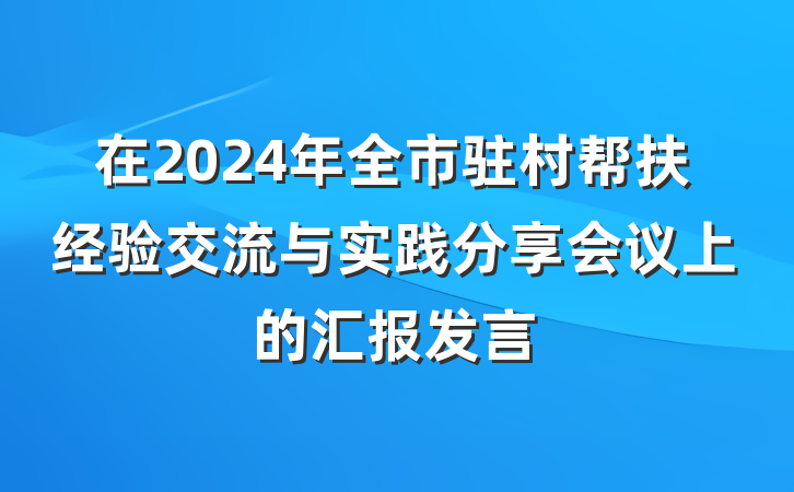 在2024年全市驻村帮扶经验交流与实践分享会议上的汇报发言