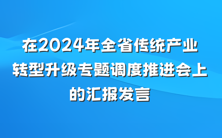 在2024年全省传统产业转型升级专题调度推进会上的汇报发言