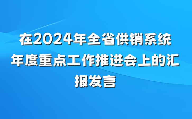 在2024年全省供销系统年度重点工作推进会上的汇报发言