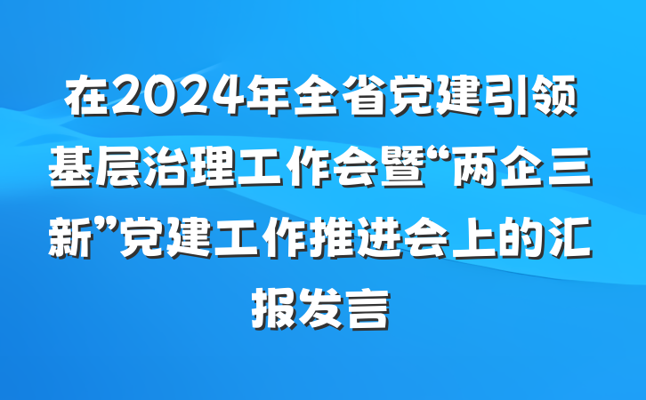 在2024年全省党建引领基层治理工作会暨“两企三新”党建工作推进会上的汇报发言