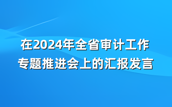 在2024年全省审计工作专题推进会上的汇报发言