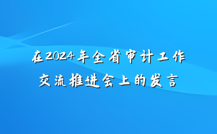 在2024年全省审计工作交流推进会上的发言