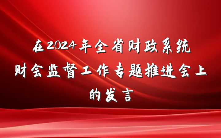 在2024年全省财政系统财会监督工作专题推进会上的发言