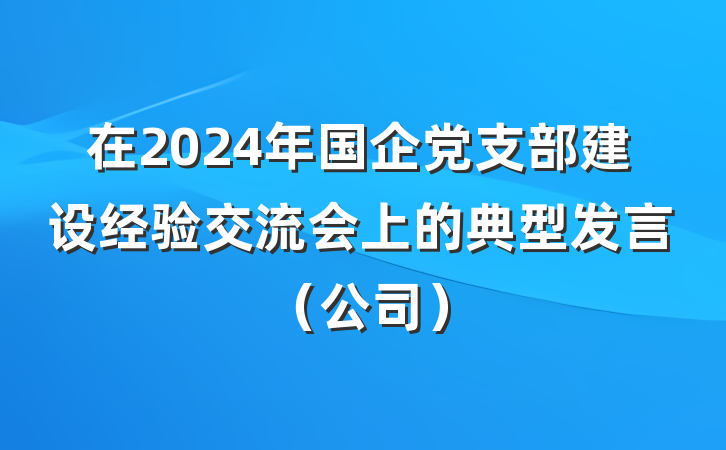 在2024年国企党支部建设经验交流会上的典型发言（公司）