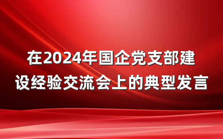 在2024年国企党支部建设经验交流会上的典型发言