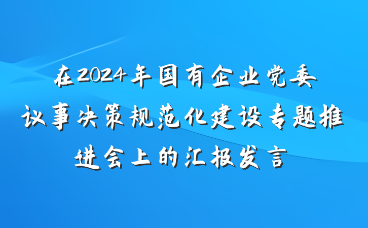在2024年国有企业党委议事决策规范化建设专题推进会上的汇报发言