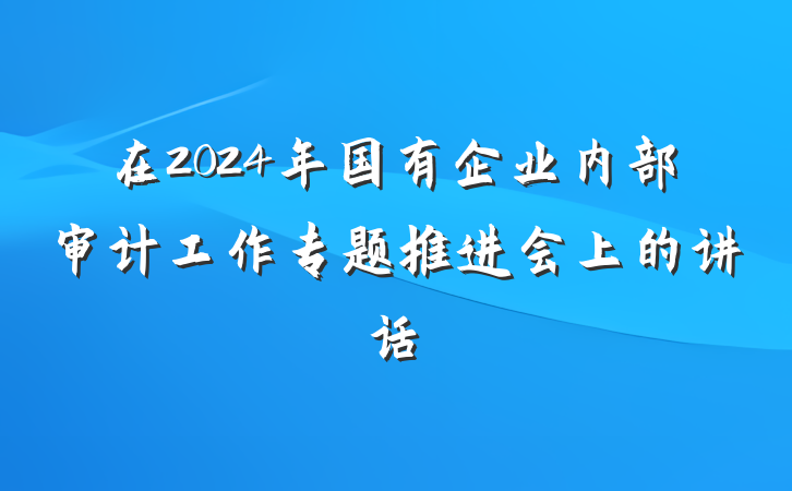在2024年国有企业内部审计工作专题推进会上的讲话