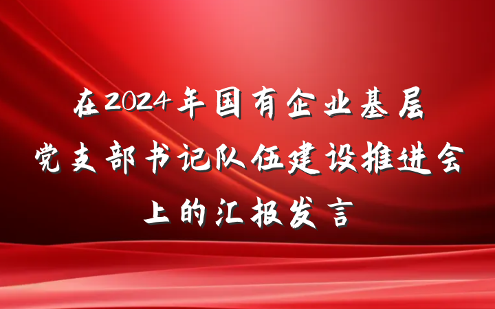 在2024年国有企业基层党支部书记队伍建设推进会上的汇报发言