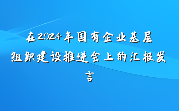 在2024年国有企业基层组织建设推进会上的汇报发言