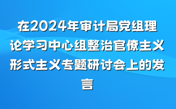 在2024年审计局党组理论学习中心组整治官僚主义形式主义专题研讨会上的发言
