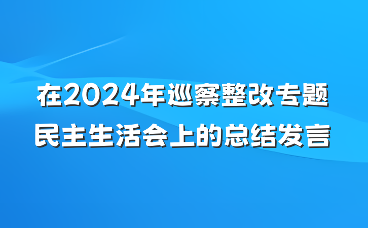 在2024年巡察整改专题民主生活会上的总结发言