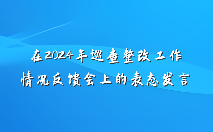 在2024年巡查整改工作情况反馈会上的表态发言