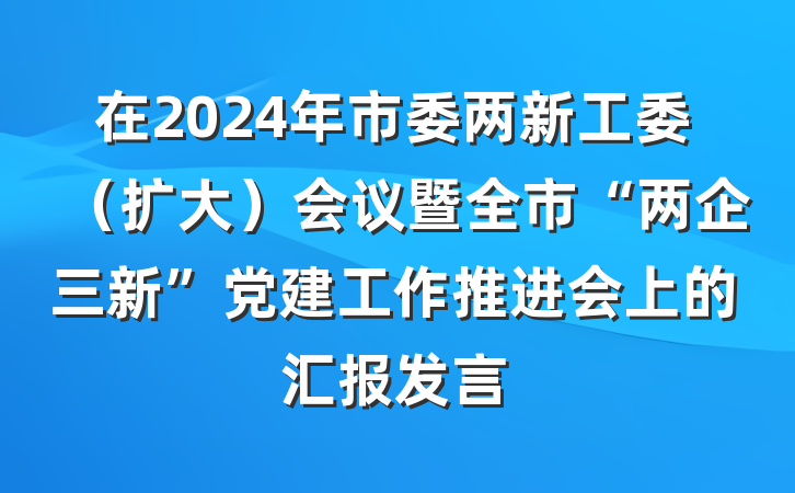 在2024年市委两新工委（扩大）会议暨全市“两企三新”党建工作推进会上的汇报发言