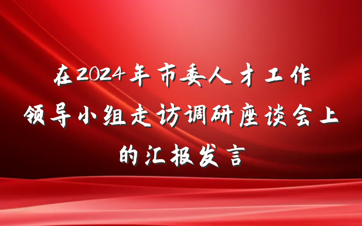 在2024年市委人才工作领导小组走访调研座谈会上的汇报发言