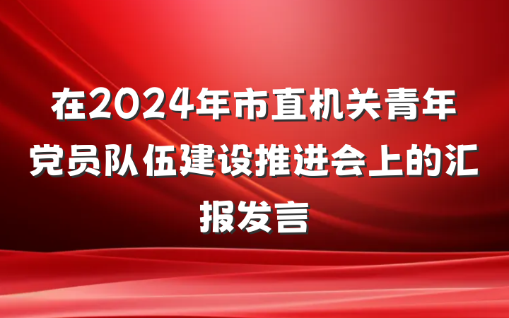 在2024年市直机关青年党员队伍建设推进会上的汇报发言