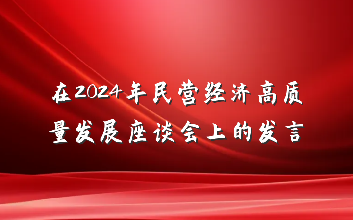 在2024年民营经济高质量发展座谈会上的发言