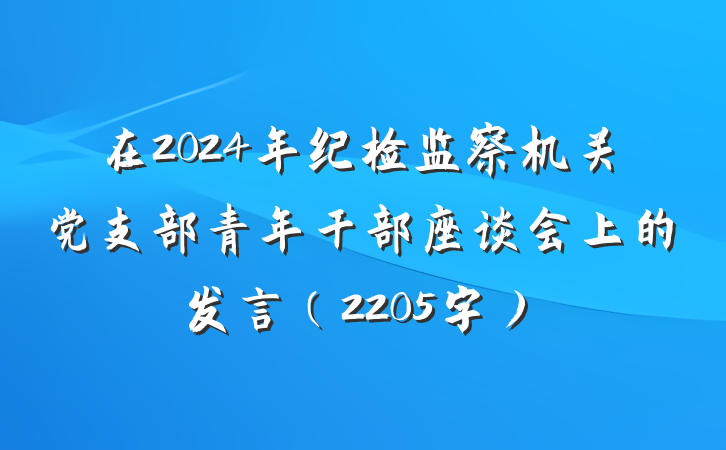 在2024年纪检监察机关党支部青年干部座谈会上的发言（2205字）