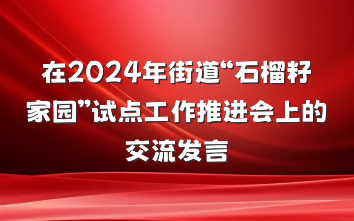 在2024年街道“石榴籽家园”试点工作推进会上的交流发言