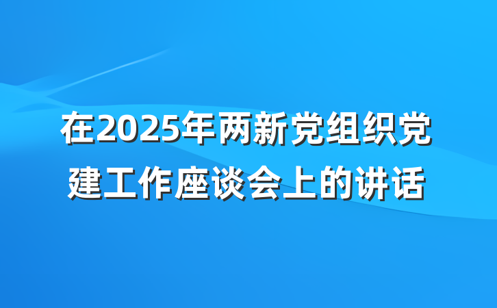 在2025年两新党组织党建工作座谈会上的讲话