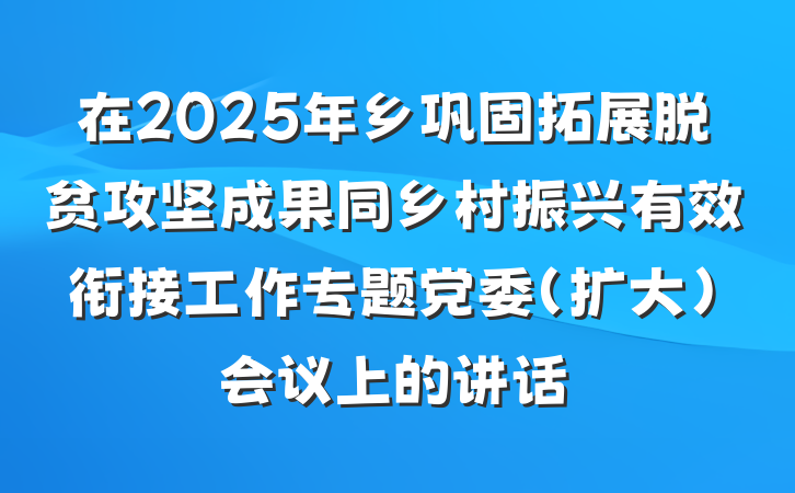 在2025年乡巩固拓展脱贫攻坚成果同乡村振兴有效衔接工作专题党委（扩大）会议上的讲话