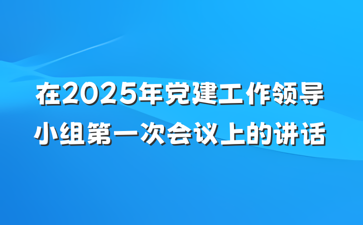 在2025年党建工作领导小组第一次会议上的讲话