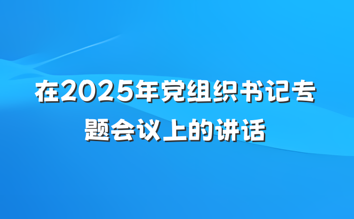 在2025年党组织书记专题会议上的讲话