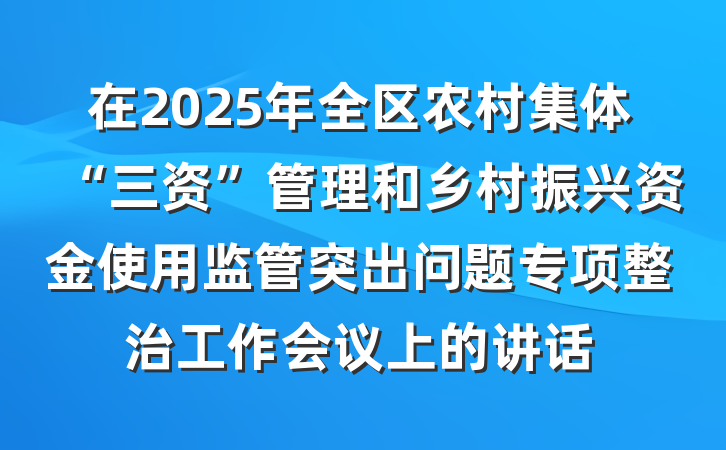 在2025年全区农村集体“三资”管理和乡村振兴资金使用监管突出问题专项整治工作会议上的讲话