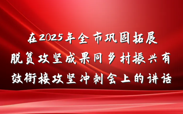 在2025年全市巩固拓展脱贫攻坚成果同乡村振兴有效衔接攻坚冲刺会上的讲话