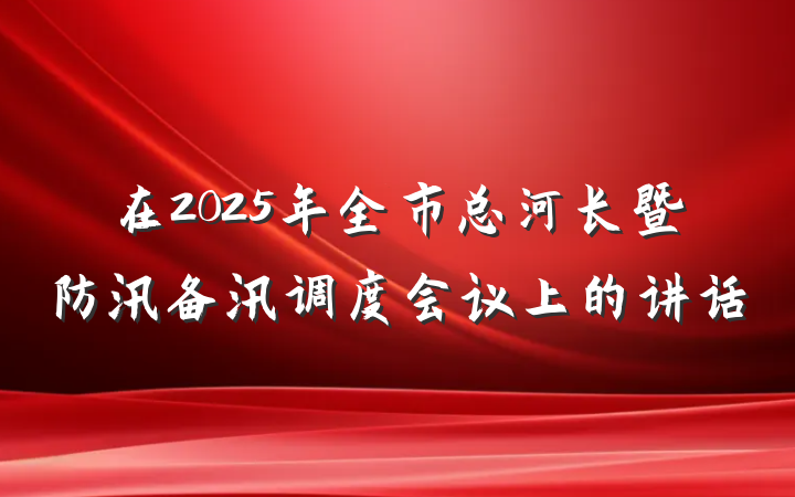 在2025年全市总河长暨防汛备汛调度会议上的讲话