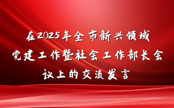 在2025年全市新兴领域党建工作暨社会工作部长会议上的交流发言
