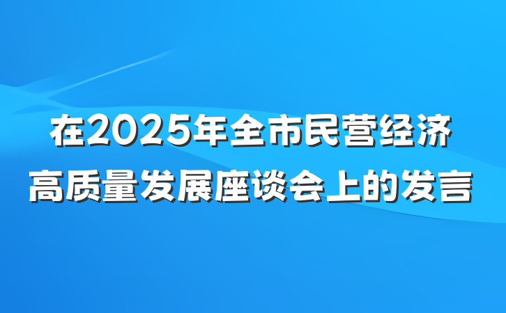 在2025年全市民营经济高质量发展座谈会上的发言