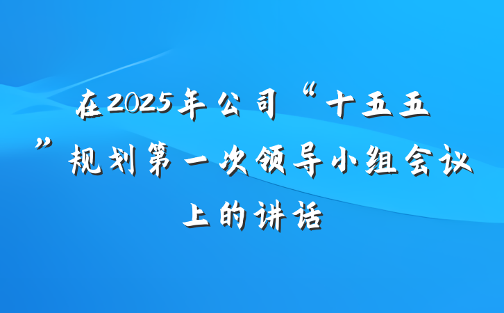 在2025年公司“十五五”规划第一次领导小组会议上的讲话