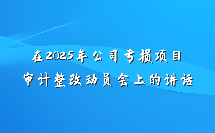 在2025年公司亏损项目审计整改动员会上的讲话