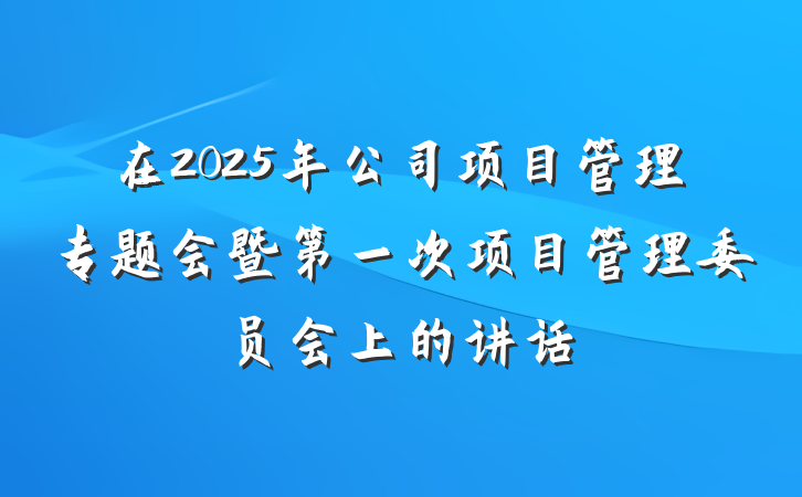 在2025年公司项目管理专题会暨第一次项目管理委员会上的讲话