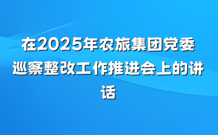在2025年农旅集团党委巡察整改工作推进会上的讲话
