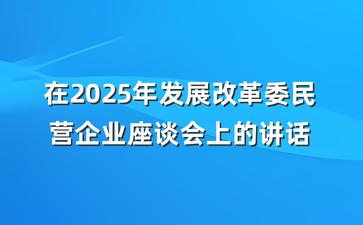 在2025年发展改革委民营企业座谈会上的讲话