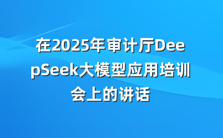 在2025年审计厅DeepSeek大模型应用培训会上的讲话