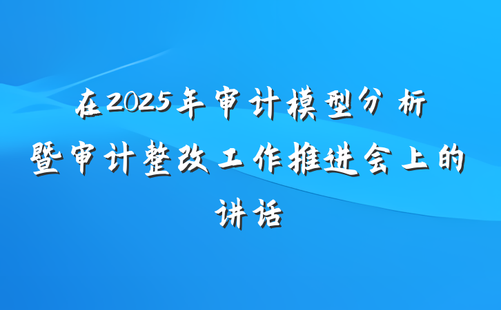 在2025年审计模型分析暨审计整改工作推进会上的讲话