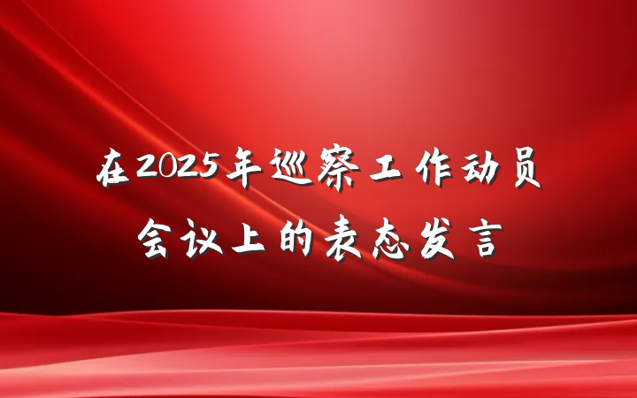 在2025年巡察工作动员会议上的表态发言