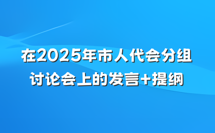 在2025年市人代会分组讨论会上的发言 提纲