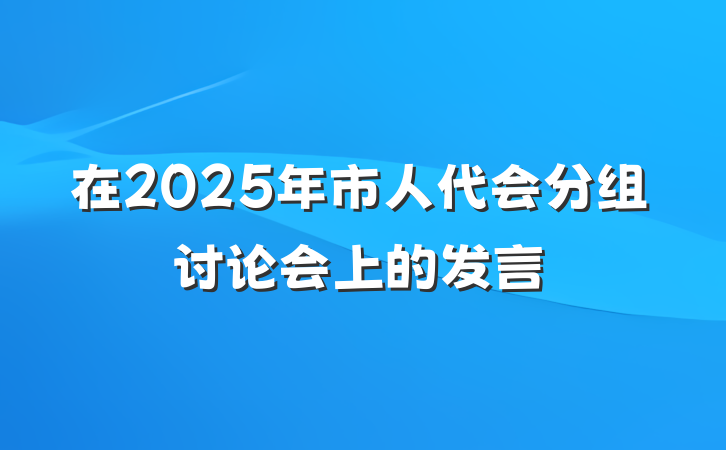 在2025年市人代会分组讨论会上的发言
