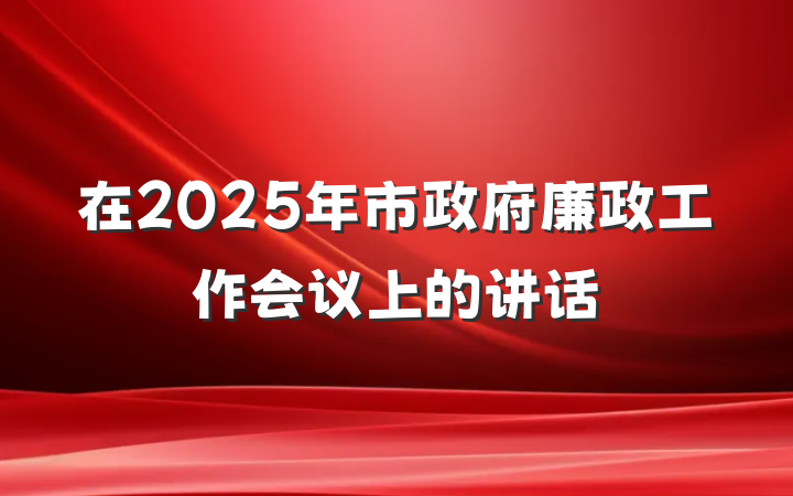 在2025年市政府廉政工作会议上的讲话