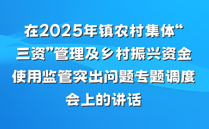在2025年镇农村集体“三资”管理及乡村振兴资金使用监管突出问题专题调度会上的讲话