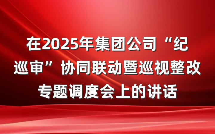在2025年集团公司“纪巡审”协同联动暨巡视整改专题调度会上的讲话