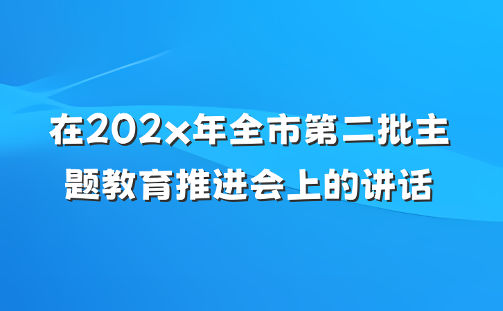 在202x年全市第二批主题教育推进会上的讲话