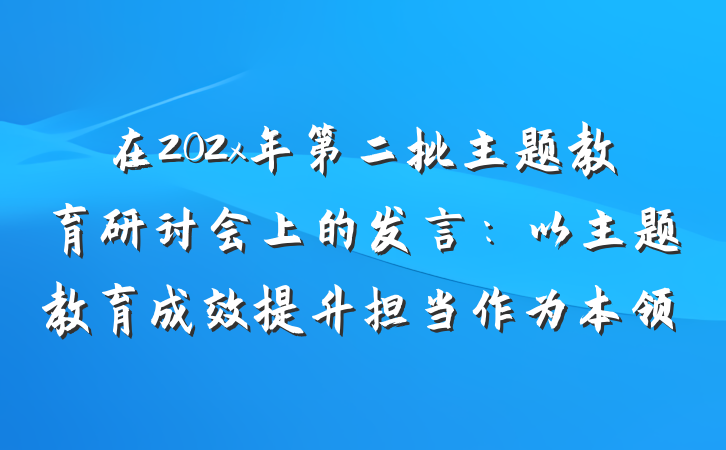 在202x年第二批主题教育研讨会上的发言：以主题教育成效提升担当作为本领