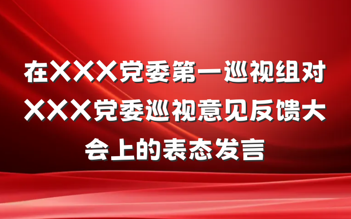 在XXX党委第一巡视组对XXX党委巡视意见反馈大会上的表态发言