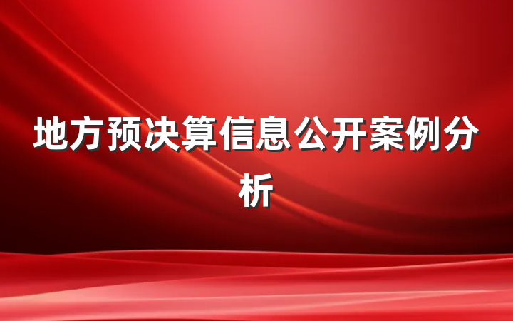 地方预决算信息公开案例分析