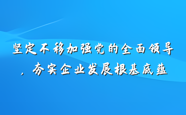 坚定不移加强党的全面领导，夯实企业发展根基底蕴